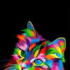 Cat 3