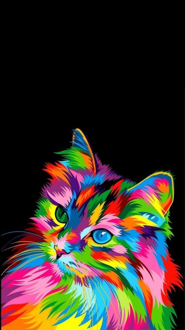 Cat 3
