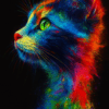 Cat 2